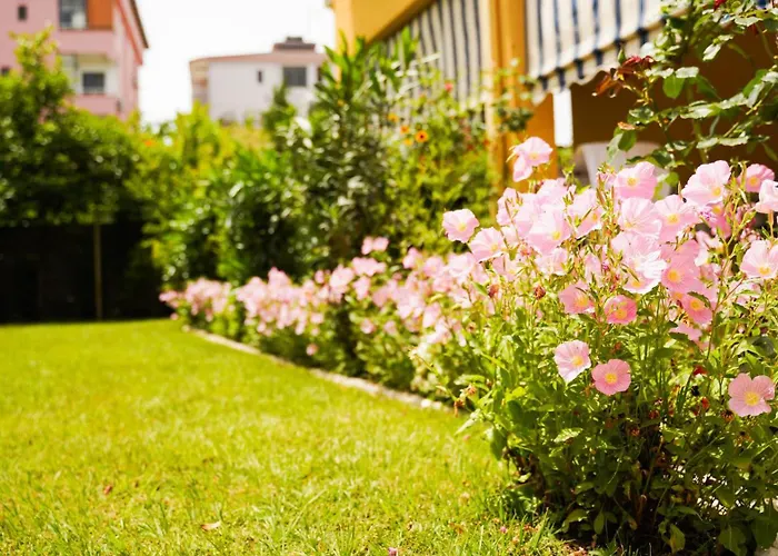 Vila Aliaj Luxury With 2 With Private Wonderful Terrace *