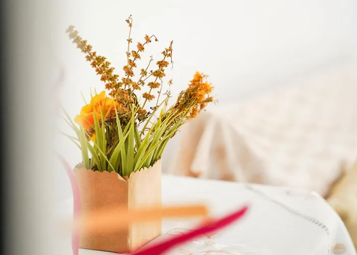 Vila Aliaj Luxury With 2 With Private Wonderful Terrace * Durrës