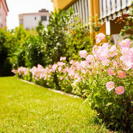 Vila Aliaj Luxury With 2 With Private Wonderful Terrace *